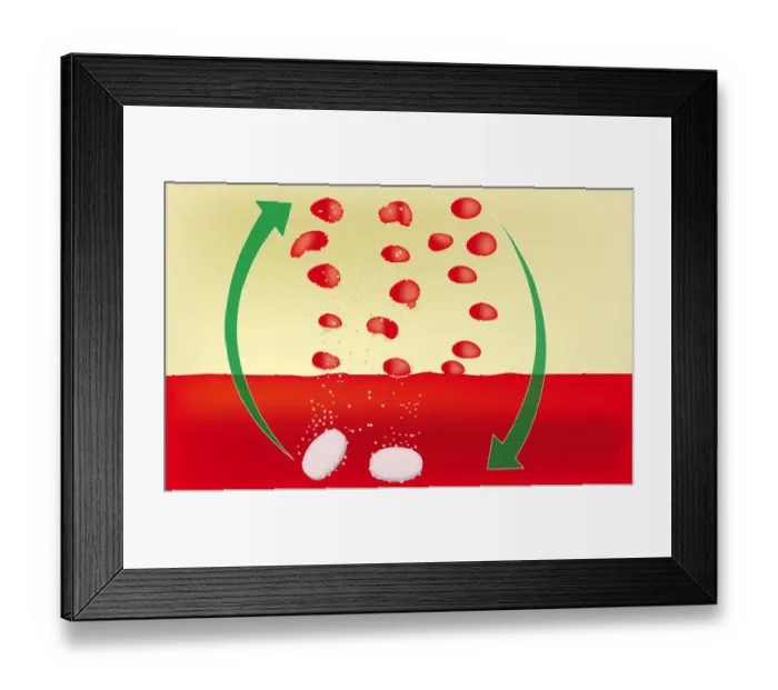 Framed Print : Digital illustration showing how a lava fountain works using two tablets dissolving in red water and vegetable oil Framed Print : Digital illustration showing how a lava fountain works using two tablets dissolving in red water and vegetable oil