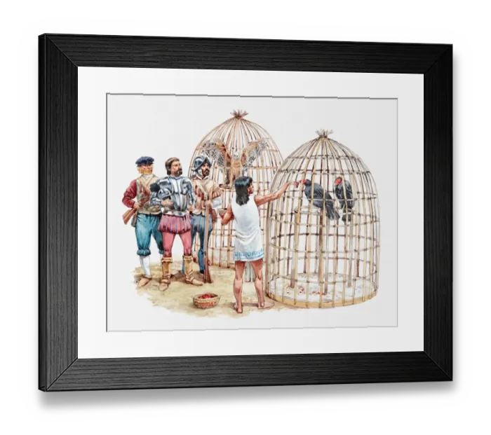 Framed Print : Illustration of slave feeding caged birds in Moctezrmas aviaries Framed Print : Illustration of slave feeding caged birds in Moctezrmas aviaries