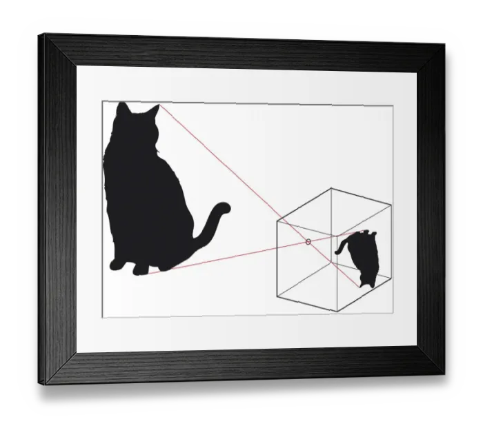 Framed Print : Digital illustration of black cat and how the image appears upside down in pinhole camera Framed Print : Digital illustration of black cat and how the image appears upside down in pinhole camera