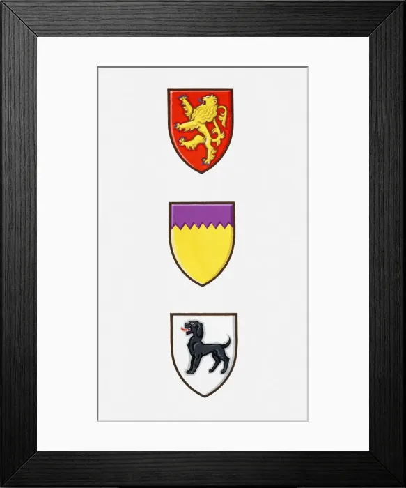 Framed Print : Illustration of three coats of arms Framed Print : Illustration of three coats of arms