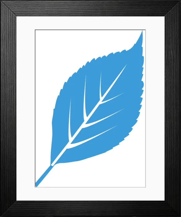 Framed Print : Digital illustration of blue leaf on white background Framed Print : Digital illustration of blue leaf on white background