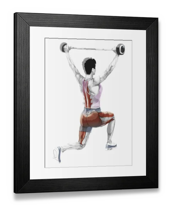 Framed Print : Illustration of muscles used by woman to lift weights in bended knee posistion Framed Print : Illustration of muscles used by woman to lift weights in bended knee posistion