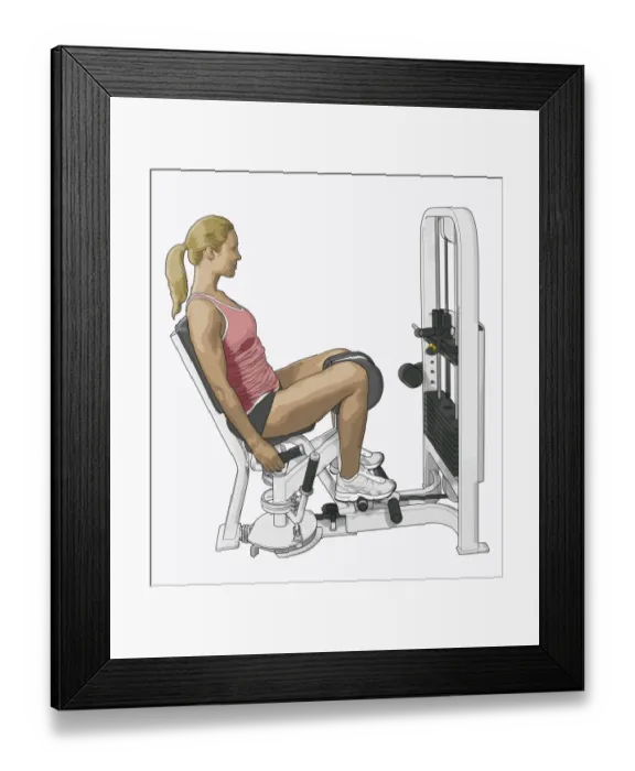 Framed Print : Illustration of woman using hip abductor with kneepads and dual foot rest Framed Print : Illustration of woman using hip abductor with kneepads and dual foot rest