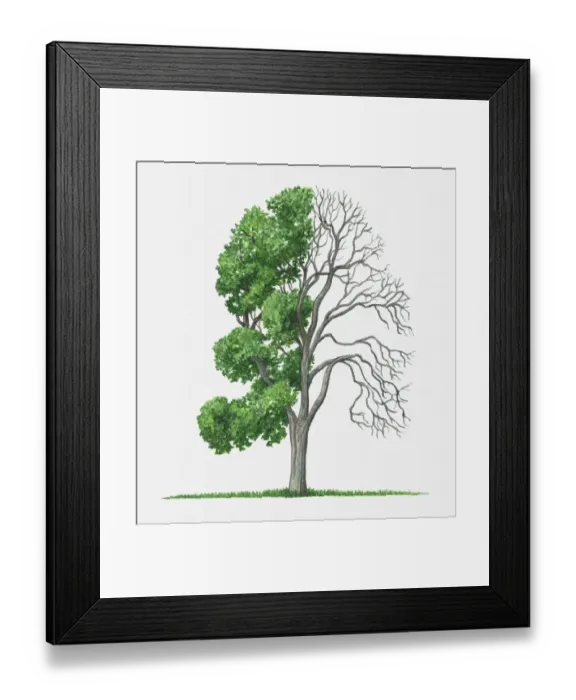 Framed Print : Illustration of green leaves and bare branches of Cotinus obovatus (Chittamwood)