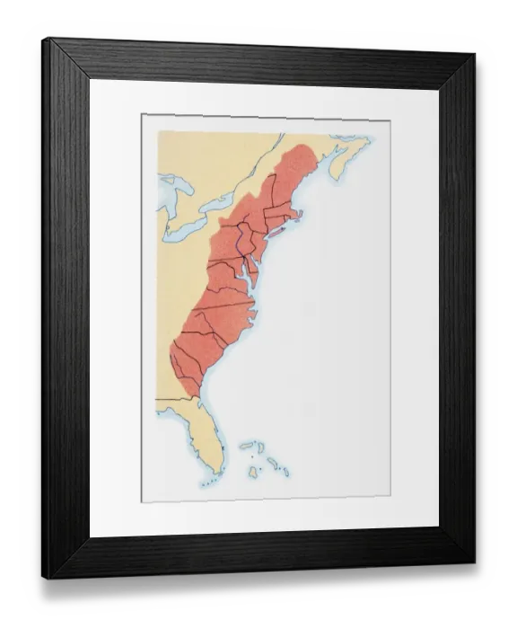 Framed Print : Illustration of states on East Coast of the USA