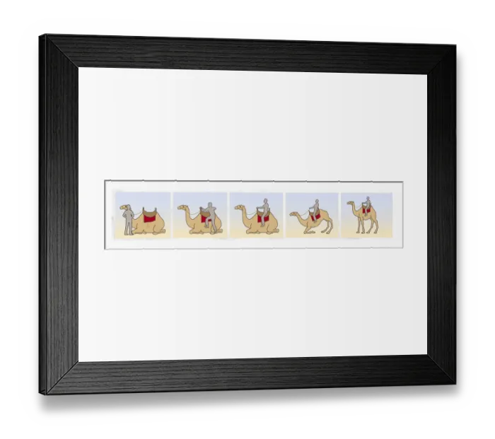 Framed Print : Series of illustrations showing how to climb on to a camel as it lies down and sitting as it stands up Framed Print : Series of illustrations showing how to climb on to a camel as it lies down and sitting as it stands up