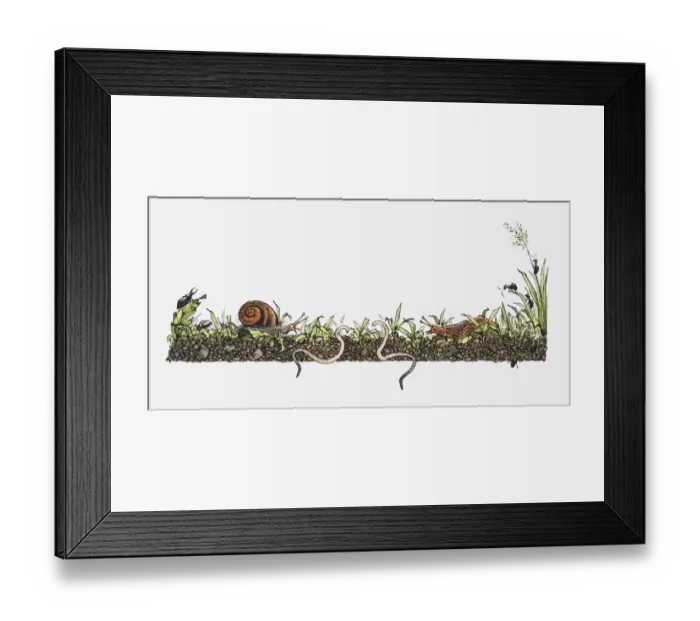 Framed Print : Cross section illustration of beetles, snails, earth worms, slugs and ants Framed Print : Cross section illustration of beetles, snails, earth worms, slugs and ants