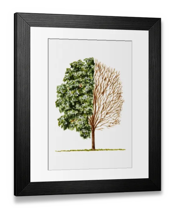 Framed Print : Illustration of green leaves and bare branches of rounded tree Framed Print : Illustration of green leaves and bare branches of rounded tree