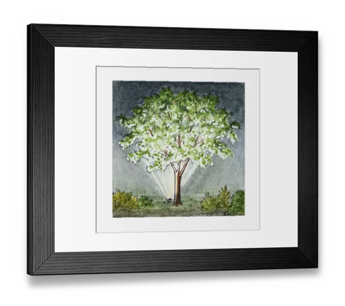 Framed Print : Illustration of floodlit tree Framed Print : Illustration of floodlit tree