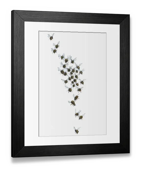 Framed Print : Illustration of swarm of bees in flight Framed Print : Illustration of swarm of bees in flight