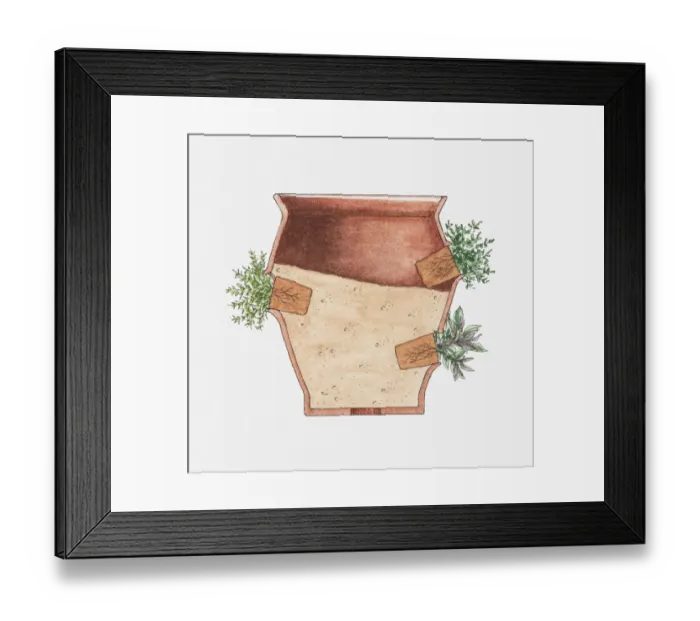 Framed Print : Cross section illustration herbs growing out of the side of plant pot at an angle Framed Print : Cross section illustration herbs growing out of the side of plant pot at an angle