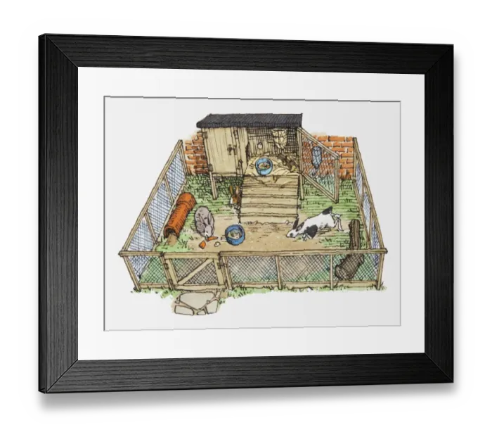 Framed Print : Illustration of pet rabbits in wire enclosure showing hutch Framed Print : Illustration of pet rabbits in wire enclosure showing hutch