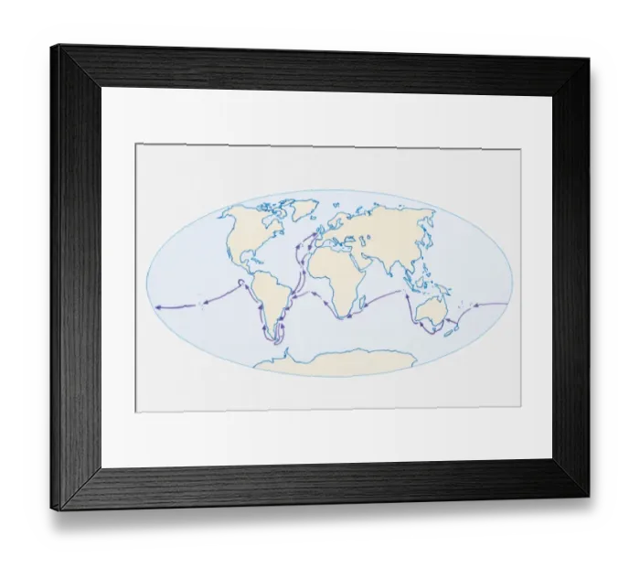 Framed Print : Illustration of world map showing route of Darwins HMS Beagle in purple Framed Print : Illustration of world map showing route of Darwins HMS Beagle in purple