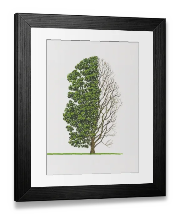Framed Print : Illustration of Quercus pontica (Armenian Oak) tree with green leaves and bare branches Framed Print : Illustration of Quercus pontica (Armenian Oak) tree with green leaves and bare branches