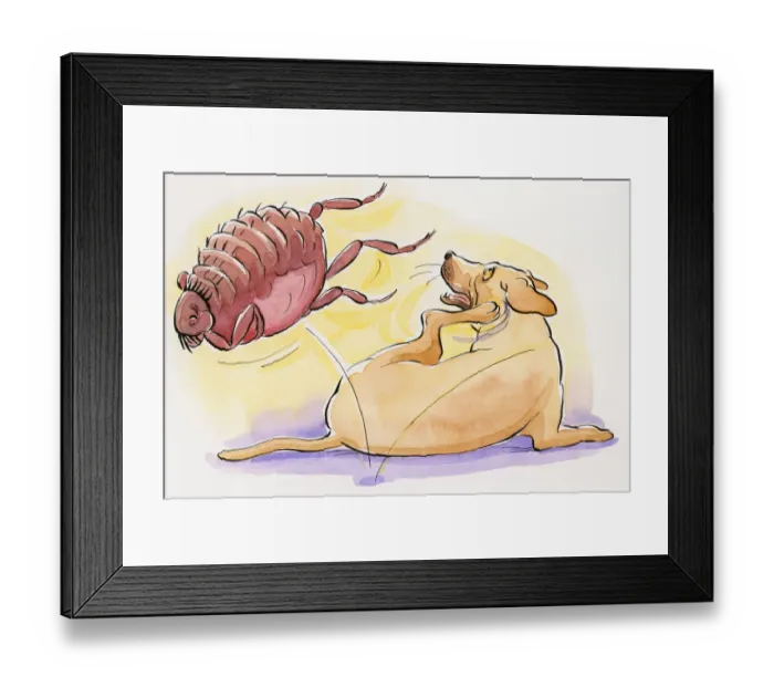 Framed Print : Cartoon of dog scratching as flea jumps off its back