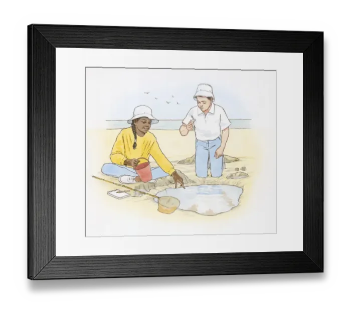 Framed Print : Illustration of boy and girl on looking at objects found on beach and in tide pool Framed Print : Illustration of boy and girl on looking at objects found on beach and in tide pool