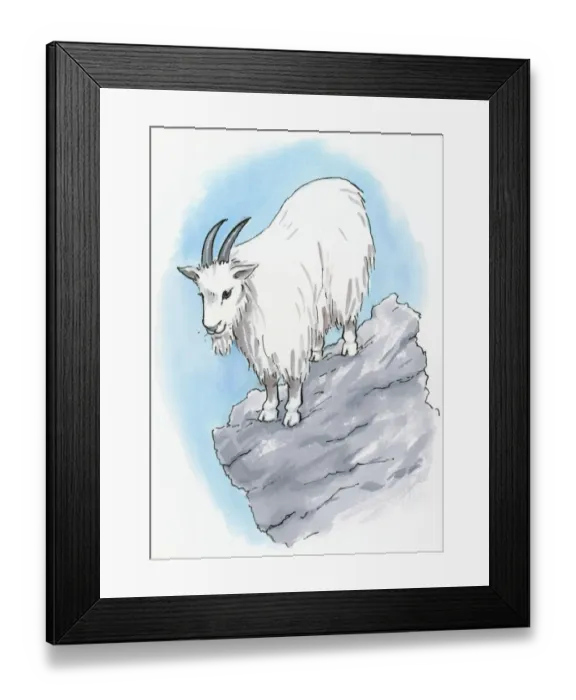 Framed Print : Illustration of Rocky Mountain Goat (Oreamnos americanus) standing on rock Framed Print : Illustration of Rocky Mountain Goat (Oreamnos americanus) standing on rock