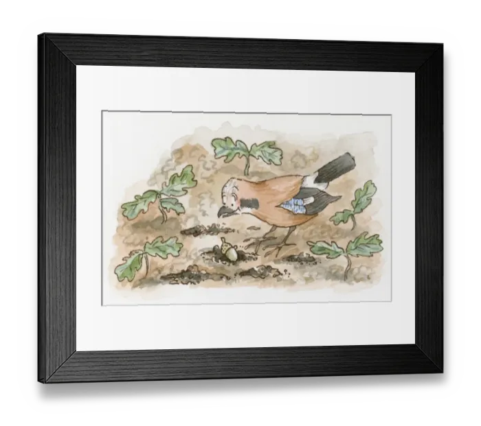 Framed Print : Cartoon of Jay looking down at acorn on ground Framed Print : Cartoon of Jay looking down at acorn on ground