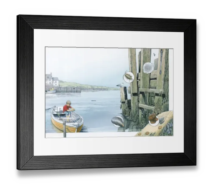 Framed Print : Illustration of boy fishing from boat in harbour, and inset pictures of Sea Mat, Sea Slater, Mussel and Sea Anemones Framed Print : Illustration of boy fishing from boat in harbour, and inset pictures of Sea Mat, Sea Slater, Mussel and Sea Anemones