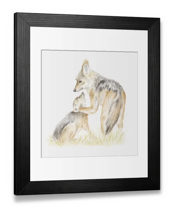 Framed Print : Illustration of two young Black-backed jackals (Canis mesomelas) playing Framed Print : Illustration of two young Black-backed jackals (Canis mesomelas) playing
