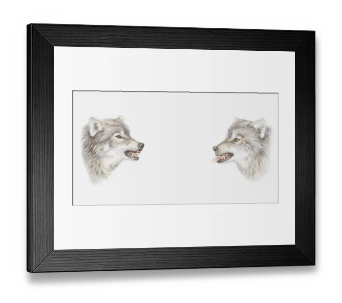 Framed Print : Illustration of the heads of two wolves growling at each other