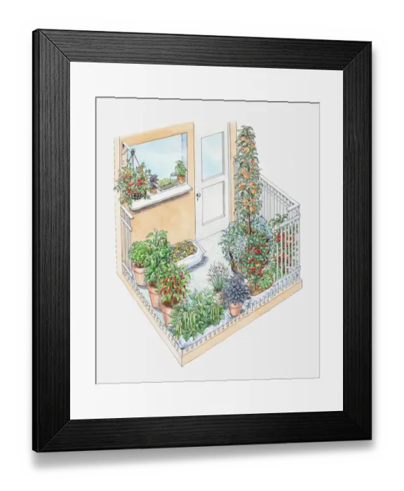Framed Print : Illustration of potted herbs and fruit trees on a small patio area