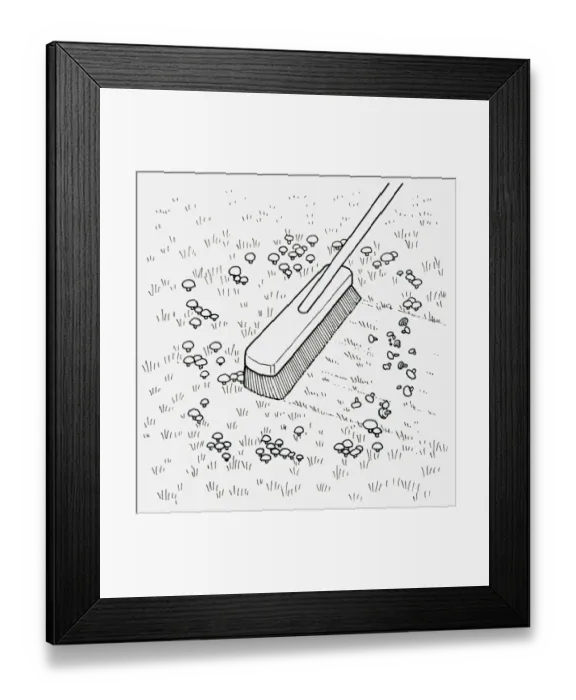 Framed Print : Black and white illustration of using broom to remove toadstools from lawn, close-up Framed Print : Black and white illustration of using broom to remove toadstools from lawn, close-up