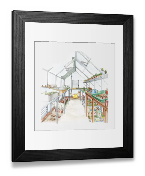 Framed Print : Illustration of a greenhouse Framed Print : Illustration of a greenhouse