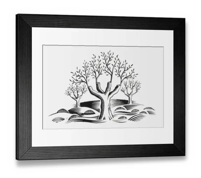Framed Print : Black and white illustration of new shoots growing from pruned trees Framed Print : Black and white illustration of new shoots growing from pruned trees