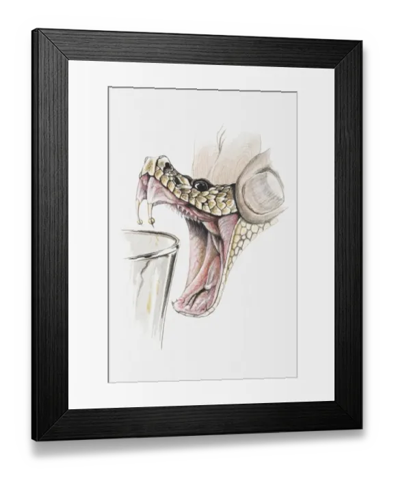 Framed Print : Illustration of hand squeezing rattlesnakes head to extract poison, close-up Framed Print : Illustration of hand squeezing rattlesnakes head to extract poison, close-up