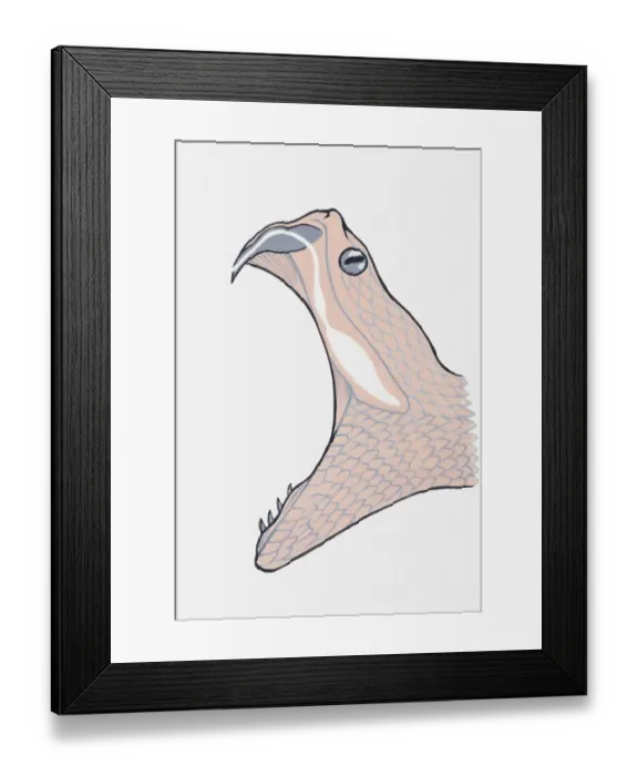 Framed Print : Illustration of a poisonous snakes mouth Framed Print : Illustration of a poisonous snakes mouth