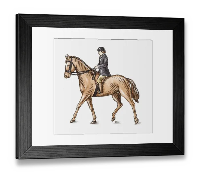 Framed Print : Illustration of horse and rider, side view Framed Print : Illustration of horse and rider, side view