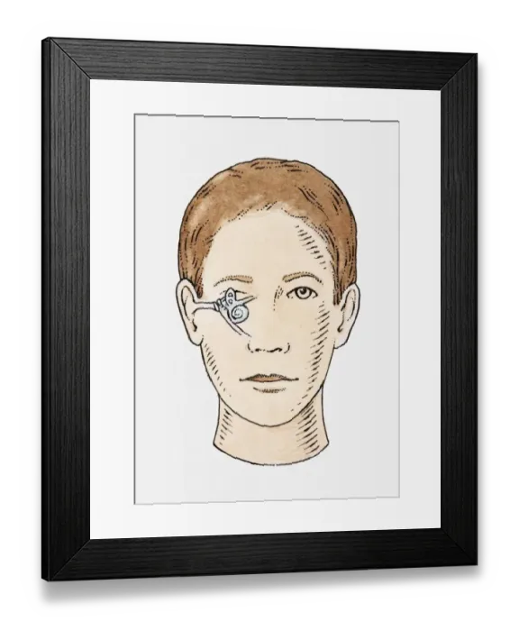 Framed Print : Illustration of anatomy of human ear Framed Print : Illustration of anatomy of human ear