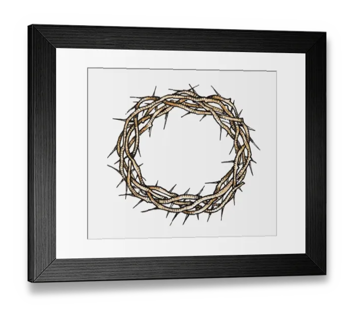 Framed Print : Illustration of Crown Of Thorns Framed Print : Illustration of Crown Of Thorns