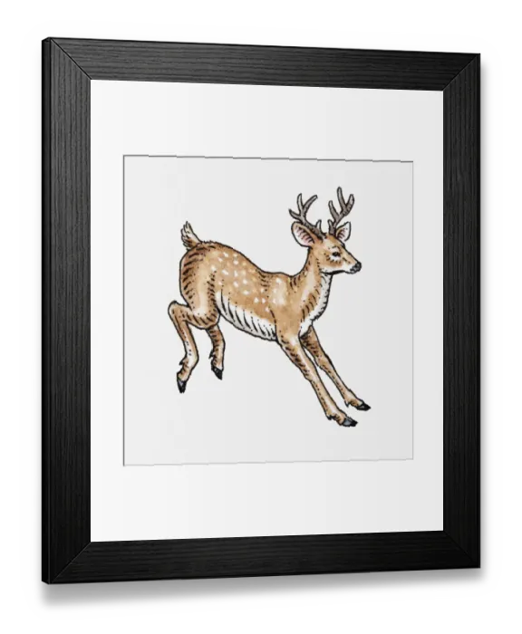 Framed Print : Illustration of a deer Framed Print : Illustration of a deer