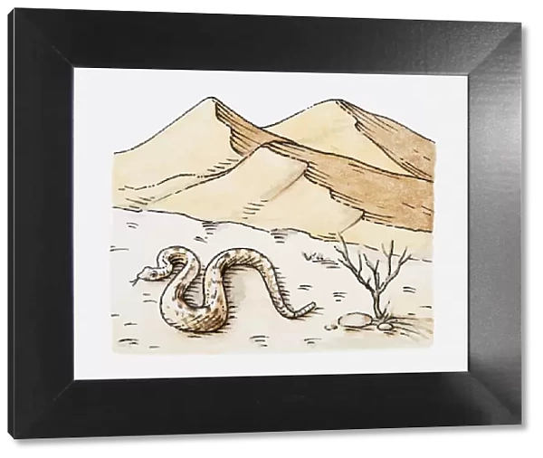 Illustration of snake in mountainous desert landscape