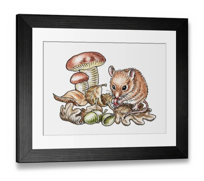 Framed Print : Illustration of wood mouse (Apodemus sylvaticus) feeding on red berry Framed Print : Illustration of wood mouse (Apodemus sylvaticus) feeding on red berry