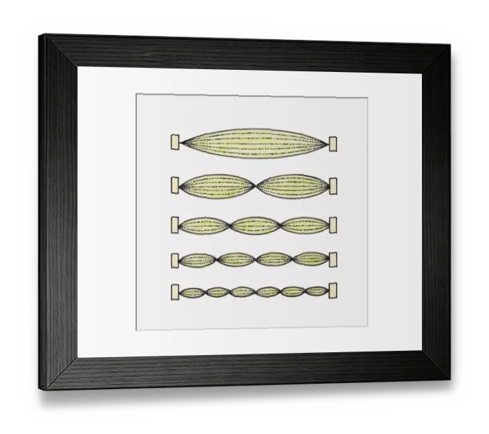Framed Print : Illustration of sound frequencies, fundamental frequency and higher frequencies (harmonics) Framed Print : Illustration of sound frequencies, fundamental frequency and higher frequencies (harmonics)