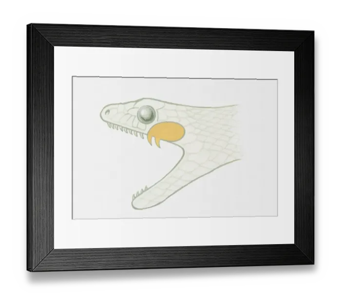 Framed Print : Illustration of a vine snakes head and mouth with poisonous fangs Framed Print : Illustration of a vine snakes head and mouth with poisonous fangs