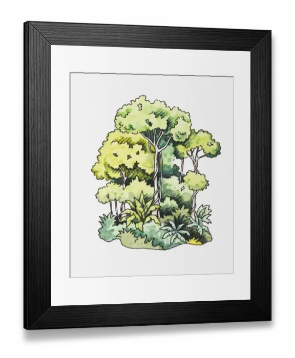 Framed Print : Illustration of tropical rainforest