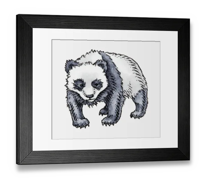 Framed Print : Illustration of Giant Panda (Ailuropoda melanoleuca) Framed Print : Illustration of Giant Panda (Ailuropoda melanoleuca)