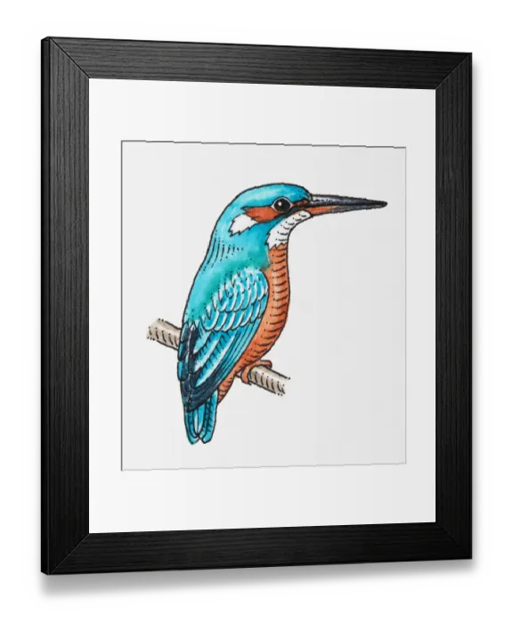 Framed Print : Illustration of Common Kingfisher (Alcedo atthis) perching on branchlet Framed Print : Illustration of Common Kingfisher (Alcedo atthis) perching on branchlet