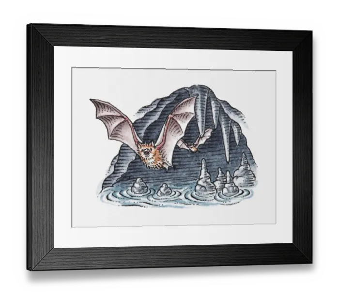 Framed Print : Illustration of bats flying out of cave