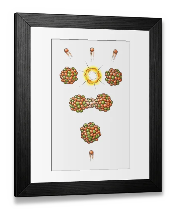Framed Print : Illustration of neutron hitting Uranium-235 nucleus, nucleus becoming unstable and splitting, releasing energy and neutrons (nuclear fission) Framed Print : Illustration of neutron hitting Uranium-235 nucleus, nucleus becoming unstable and splitting, releasing energy and neutrons (nuclear fission)