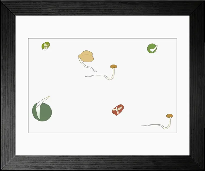Framed Print : Digital illustration of sprouting seeds Framed Print : Digital illustration of sprouting seeds