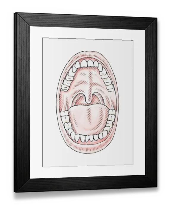 Framed Print : Illustration of opened mouth with two rows of teeth showing Framed Print : Illustration of opened mouth with two rows of teeth showing