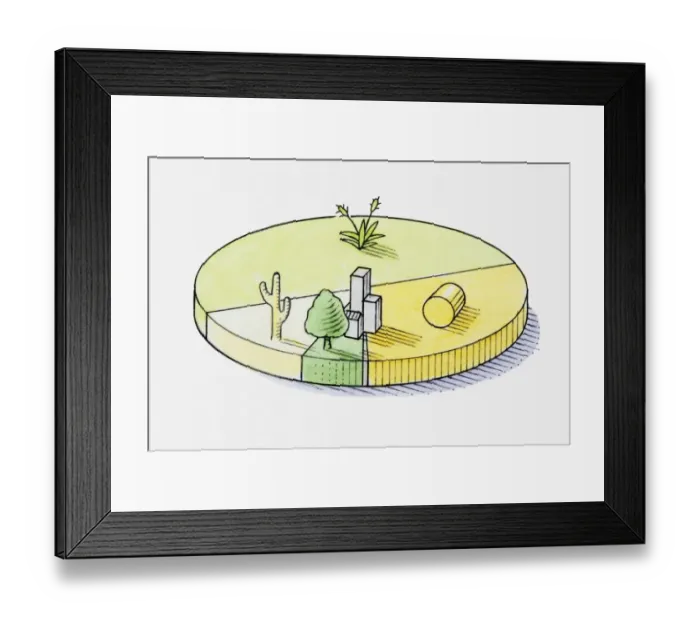 Framed Print : Pie chart illustration representing grassland, farmland, forest, desert and built-up areas of South Africa Framed Print : Pie chart illustration representing grassland, farmland, forest, desert and built-up areas of South Africa