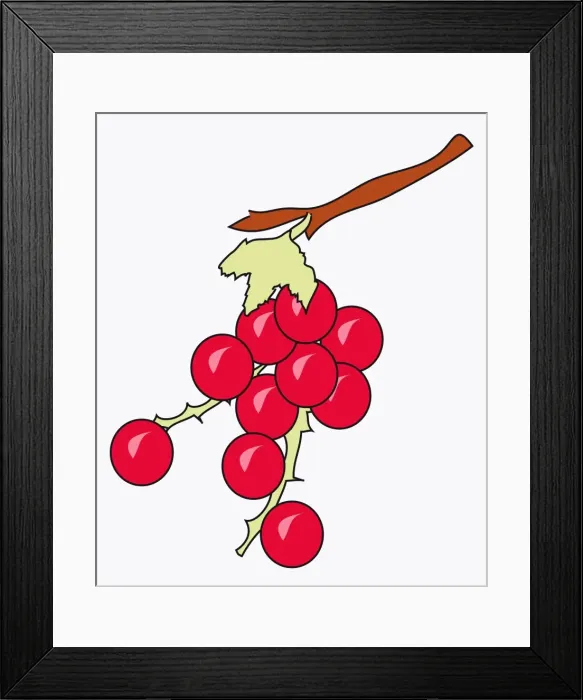 Framed Print : Digital illustration of Redcurrants (Ribes rubrum) on thorny stem