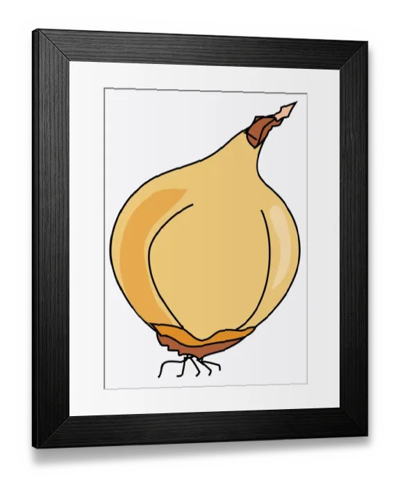 Framed Print : Digital illustration of Allium cepa (Onion) Framed Print : Digital illustration of Allium cepa (Onion)