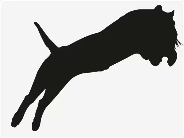 Black and white digital illustration of pouncing tiger silhouette